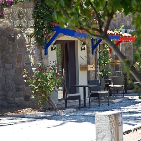 Palmiye Tepesi *